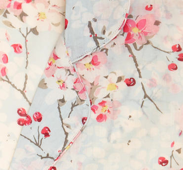 Appleblossom.jpg