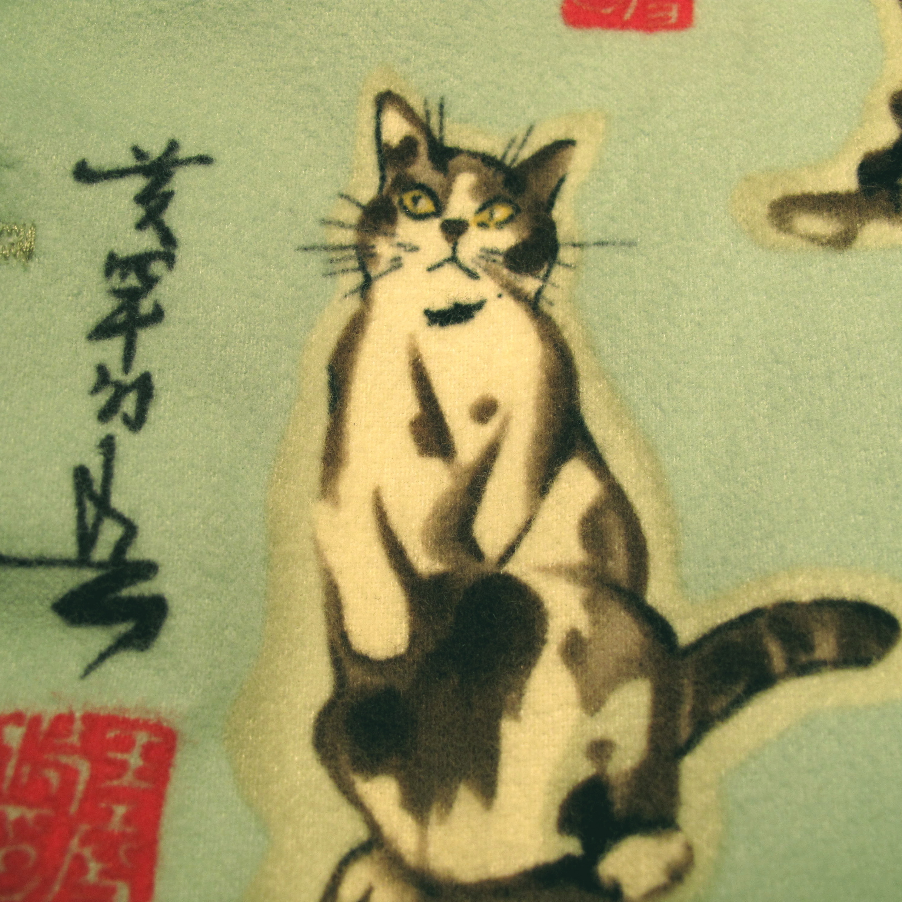IMG0045.JPG