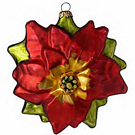 poinsettia.jpg